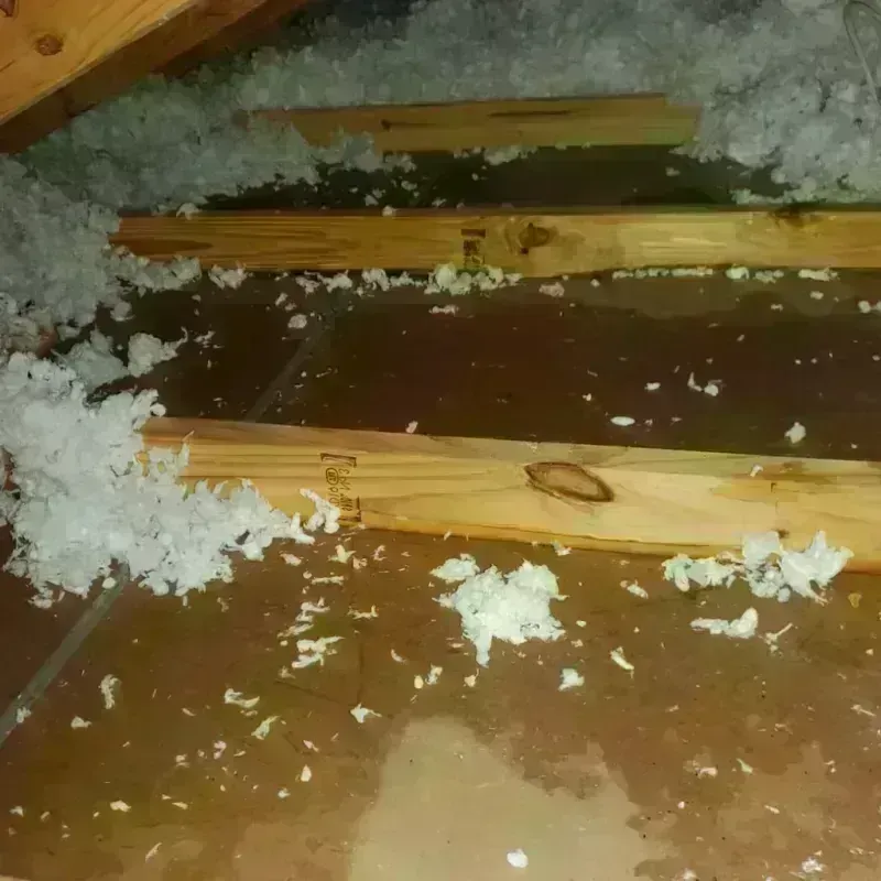 Attic Water Damage in Nome, AK