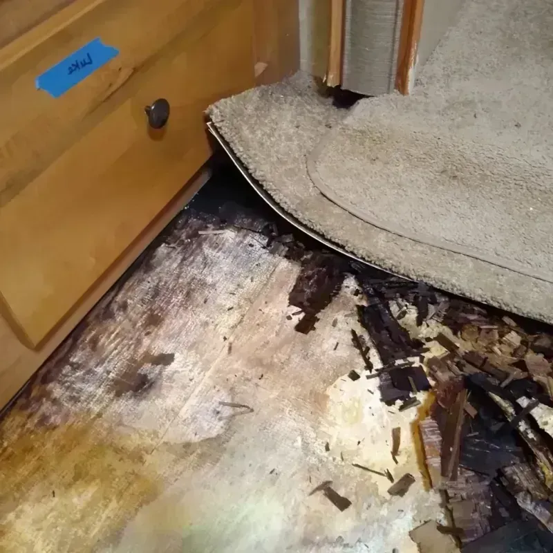 Wood Floor Water Damage in Nome, AK